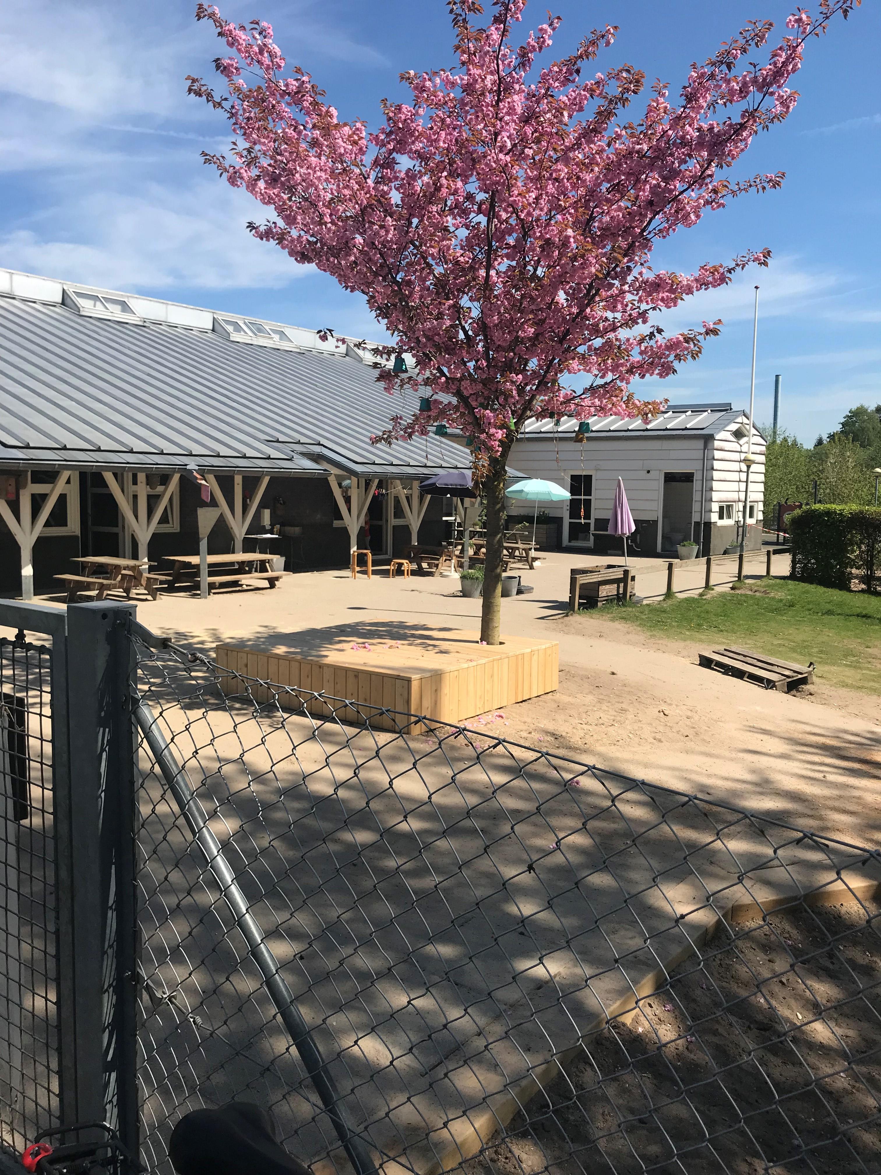 Børnehuset Rismøllens legeplads